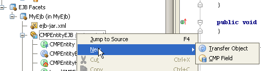 IntelliJ IDEA：创建CMP Bean字段